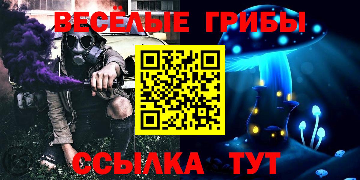 Галлюциногенные грибы прущие грибы  Вход с VPN  Кстово 